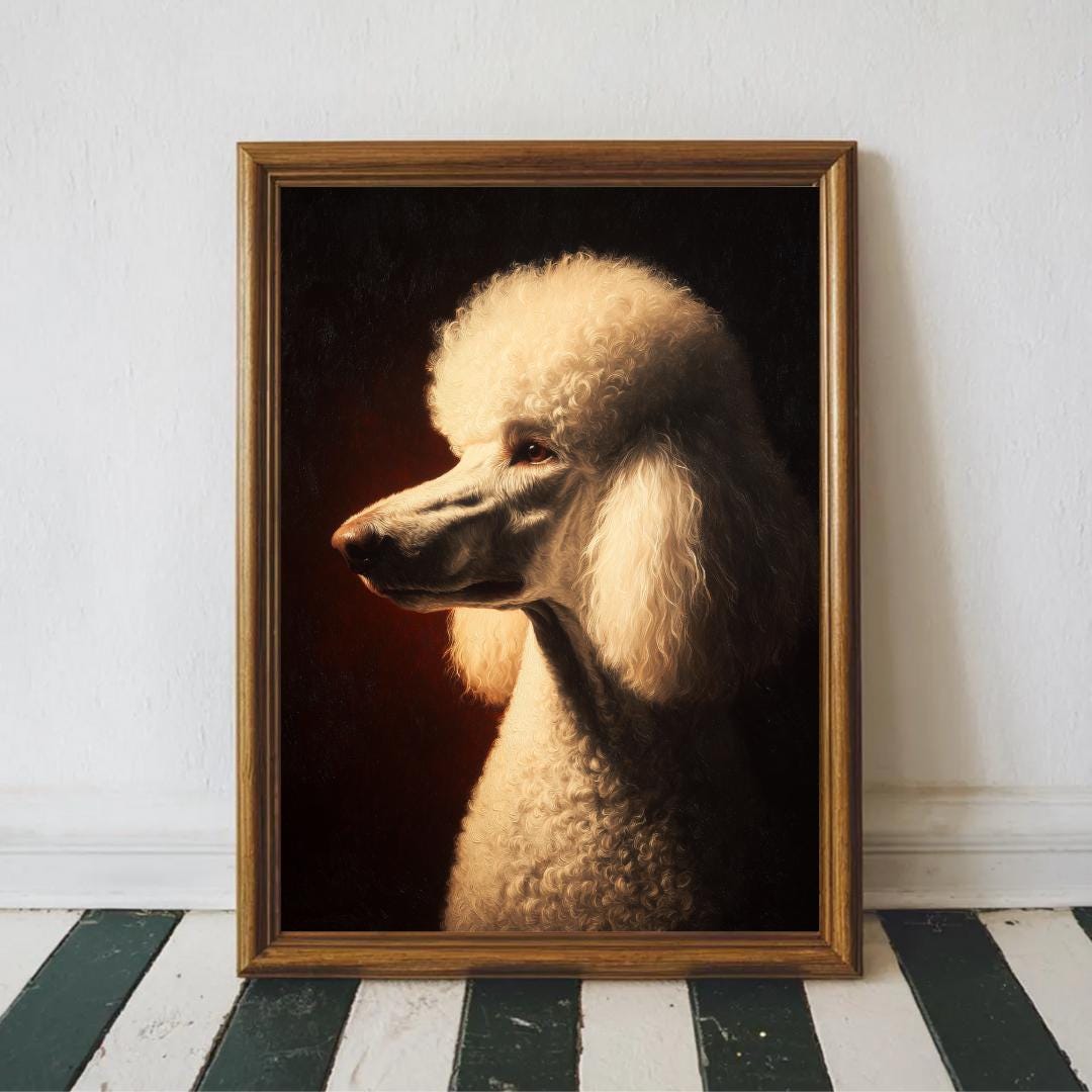 Poodle (Standard) - dog breed photo